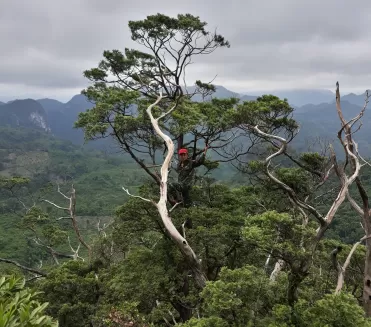 Rồng đất Phong Nha - Kẻ Bàng